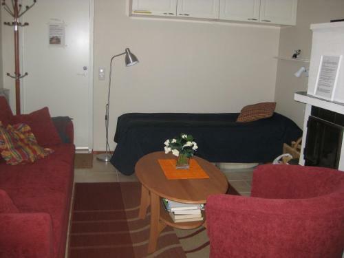 Levin Alppi 3 A 1 Apartment