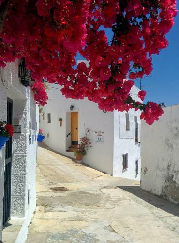 Holiday Home La Atalaya De Vejer