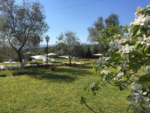 Bed & Breakfast La Canonica Di Fungaia