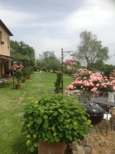 Bed & Breakfast La Canonica Di Fungaia