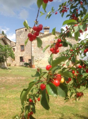Bed & Breakfast La Canonica Di Fungaia