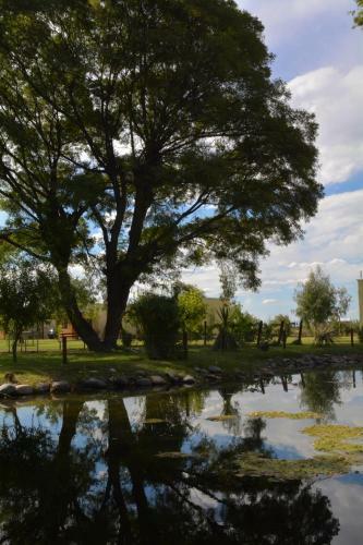 Apartamento Ayres De Cuyo