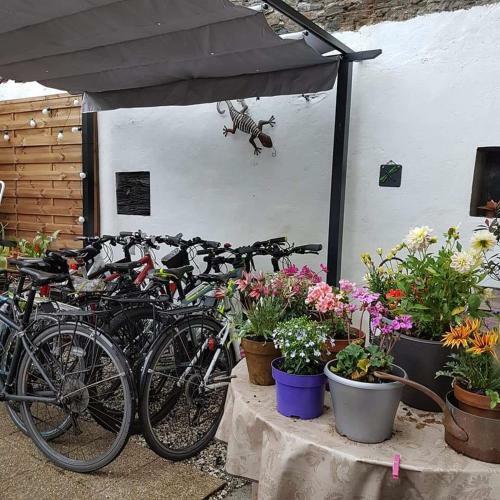 Bed & Breakfast The Lighthouse Chambres � Louer
