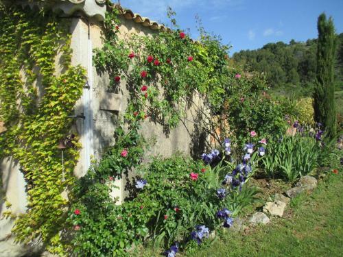 Bed & Breakfast Le Mas Du Fort