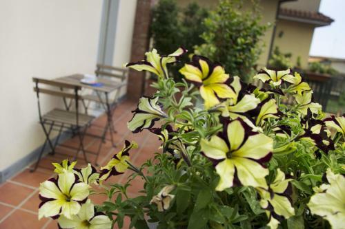 Bed & Breakfast Notti E Dintorni