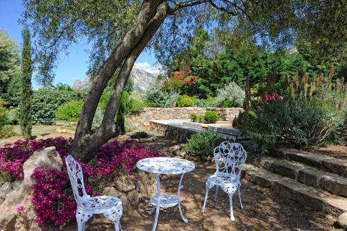 Bed & Breakfast Chambre D'h�tes Domaine Pero Longo