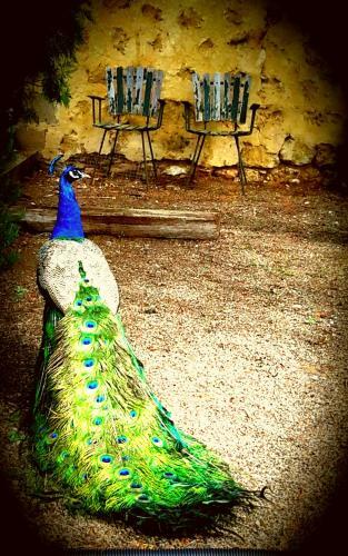Bed & Breakfast A La Folly