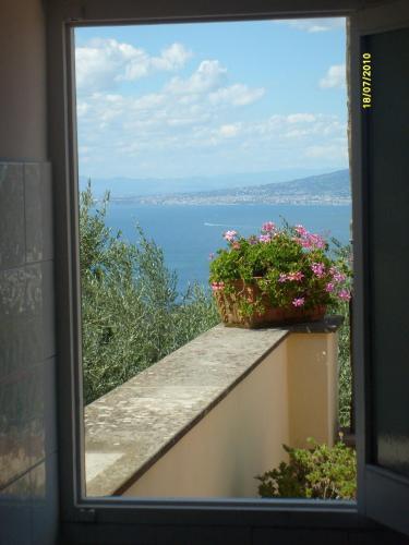 Gli Ulivi