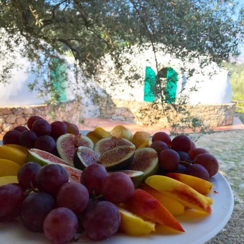 Bed & Breakfast Giardino Di Sicilia