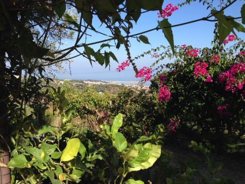 Bed & Breakfast Giardino Di Sicilia