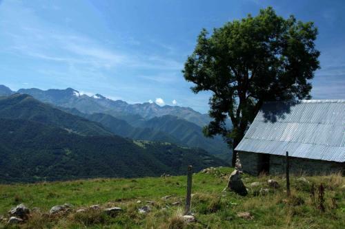 Bed & Breakfast La Vigne Vierge