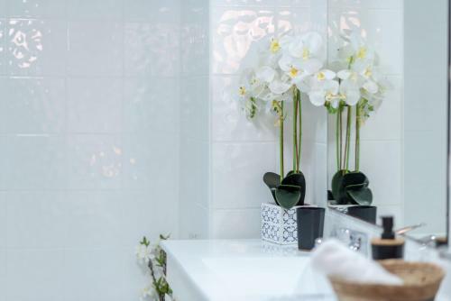 Apartments In Pyrmont