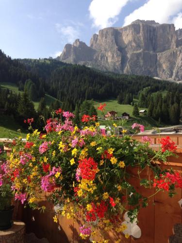 Wellness Hotel Lupo Bianco