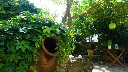Villa Muses Country House