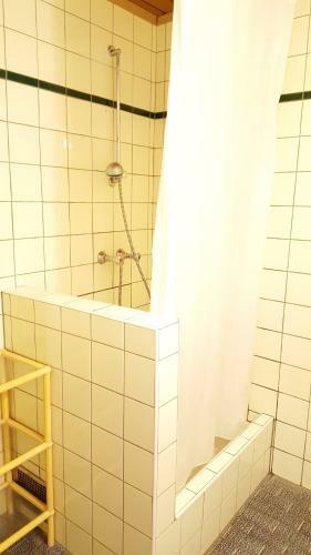 Posada Gasthof Zum Gr�nen Baum