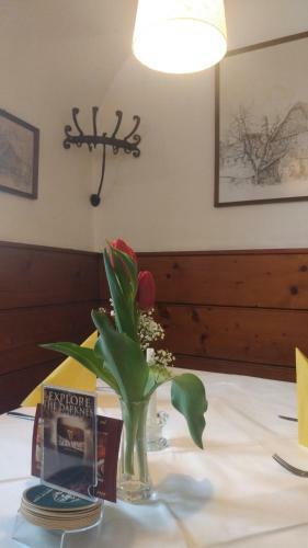 Posada Gasthof Zum Gr�nen Baum