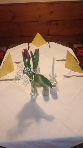 Posada Gasthof Zum Gr�nen Baum