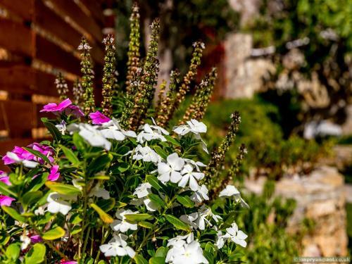 Apartamento Fotinis Cottage