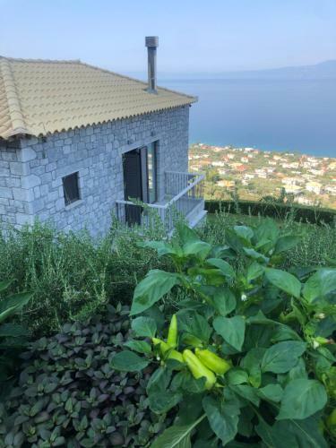 Apartamento Petra Thea