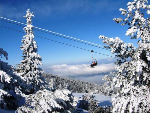 Bungalows Ski Run Govedartsi