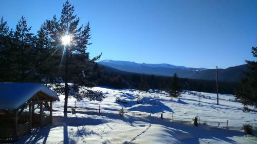 Bungalows Ski Run Govedartsi