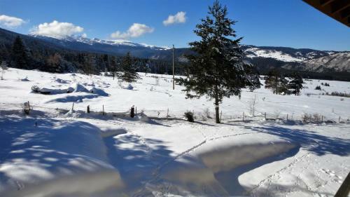 Bungalows Ski Run Govedartsi