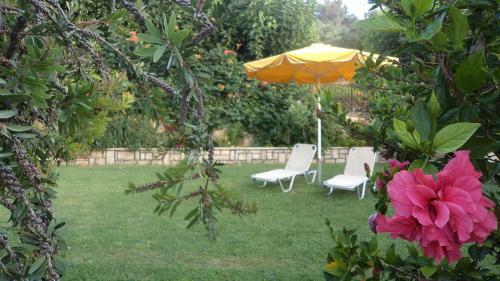 Apartamento Argiroupolis Dimitris Rooms