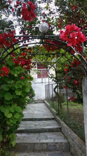 Apartamento Spiti Kritikos