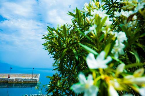 Apartamento Miradouro Sea Front Residencies