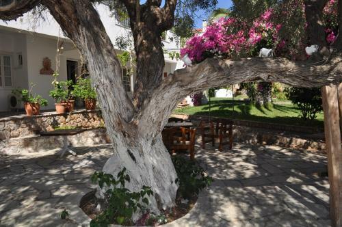 Hotel Villa Martha