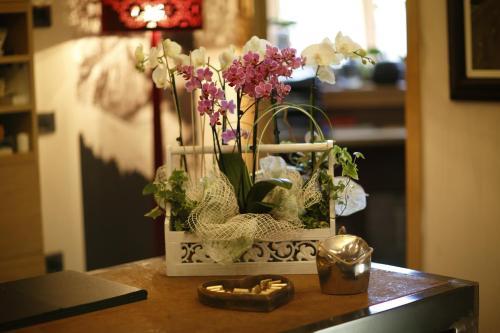 Dv Chalet Boutique Hotel & Spa