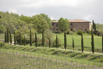 Fattoria Casabianca