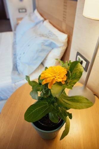 Alexandros Boutique Hotel