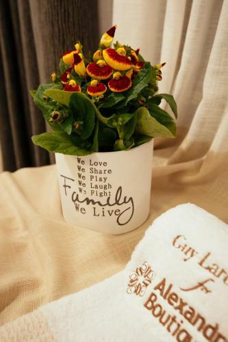 Alexandros Boutique Hotel