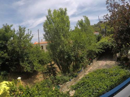Apartments Zafiria
