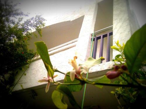 Apartamento Thalassa Studios