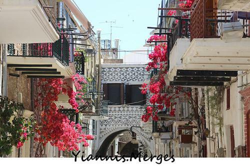 Hotel Mastiha House