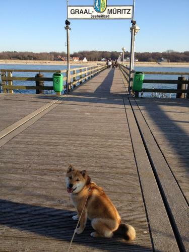 Residenz Lausitz - Apartments F�r Urlaub Mit Hund