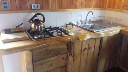 Lodge Caba�as Ra�ces De Puc�n