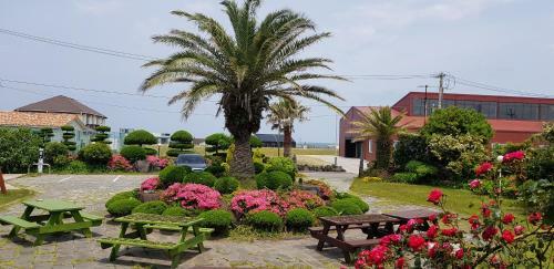 Jeju Again Olle Pension