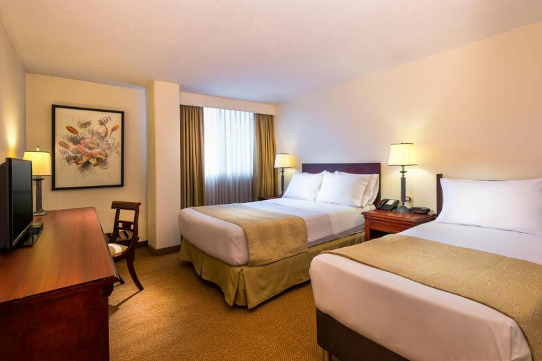 Hotel Dann Avenida 19
