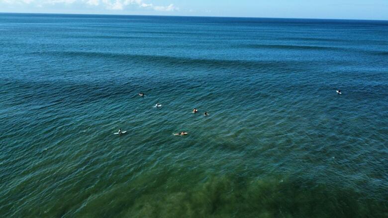 Apartamento Colibri Surf House & Flats