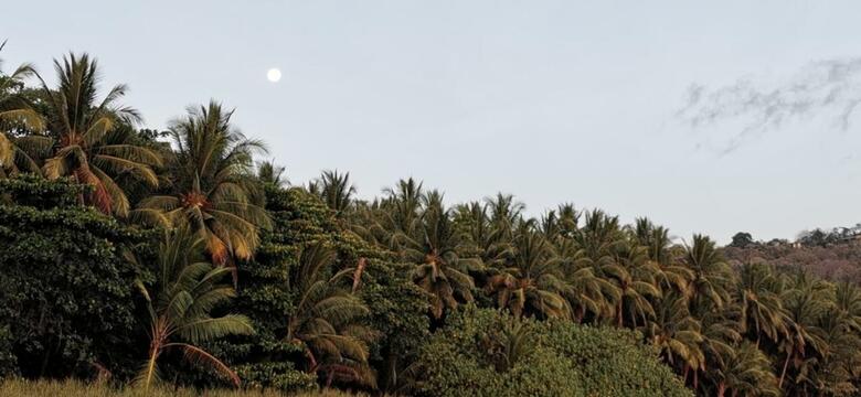 Apartamento Colibri Surf House & Flats