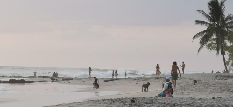 Apartamento Colibri Surf House & Flats