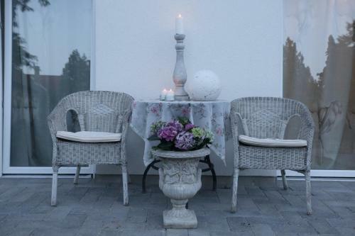 Hostal Pastel Guesthouse