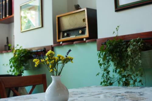Bed & Breakfast Piroska Villa