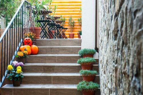 Bed & Breakfast Piroska Villa