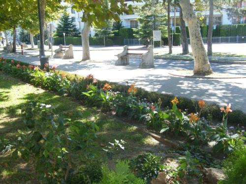 Park S�t�ny Apartman