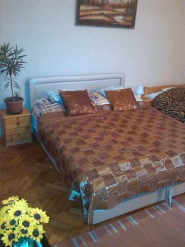 Apartamento Napsug�r Vend�gh�z Szilv�sv�rad