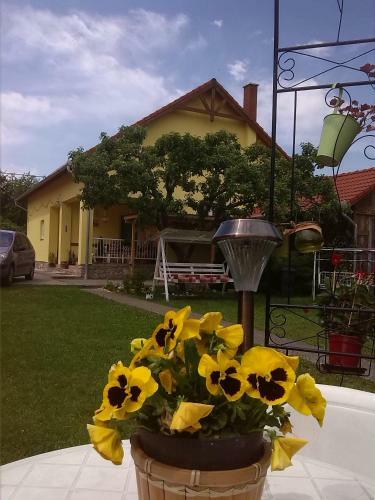 Apartamento Napsug�r Vend�gh�z Szilv�sv�rad